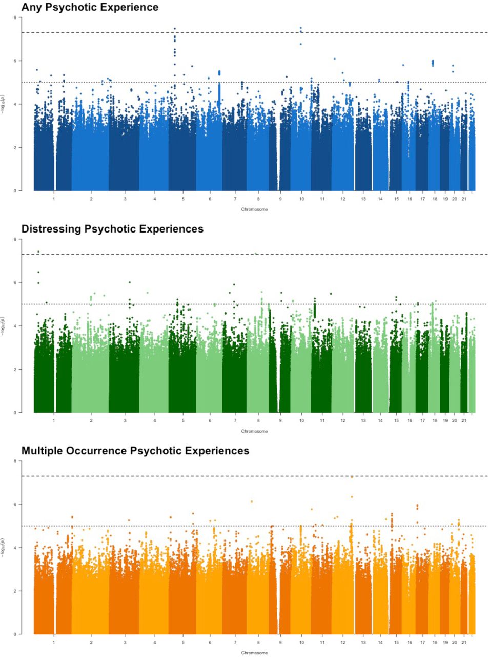 Manhattan plot for GWAS analyses of any psychotic experience, distressing psychotic experiences and multiple occurrence psychotic experiences. Dashed line represent the genome-wide significance level of p < 5 × 10−8 and the dotted line represents p < 1 × 10−5.
