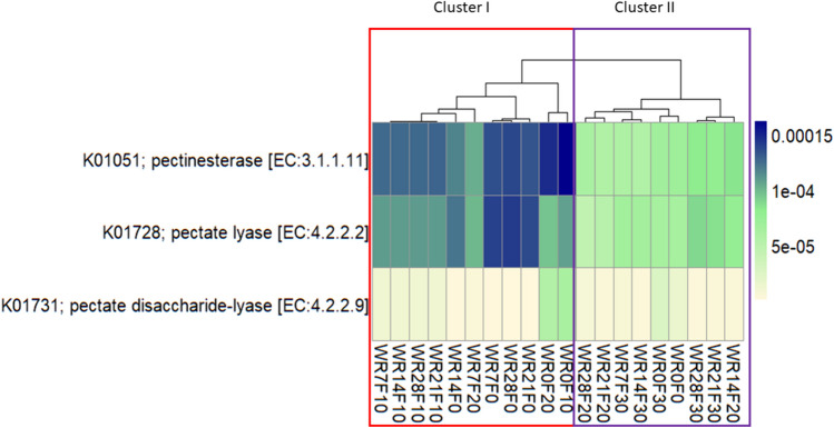 Predicted abundances of pectinesterase (EC:3.1.1.11), pectate lyase (EC:4.2.2.2), and pectate disaccharide-lyase (EC:4.2.2.9) genes. The color code refers to gene abundance, with high predicted abundances (blue) and low predicted abundances (light yellow). WR0F0, beginning of the water retting process without pre-retting on field; WR7F0, water retting at 7 days without pre-retting treatment on field; WR14F0, water retting at 14 days without pre-retting on field; WR21F0, water retting at 21 days without pre-retting on field; WR28F0, water retting at 28 days without pre-retting on field; WR0F10, beginning of the water retting process with pre-treatment on field for 10 days; WR7F10, water retting at 7 days with pre-treatment on field for 10 days; WR14F10, water retting at 14 days with pre-treatment on field for 10 days; WR21F10, water retting at 21 days with pre-treatment on field for 10 days; WR28F10, water retting at 28 days with pre-treatment on field for 10 days; WR0F20, beginning of the water retting process with pre-treatment on field for 20 days; WR7F20, water retting at 7 days with pre-treatment on field for 20 days; WR14F20, water retting at 14 days with pre-treatment on field for 20 days; WR21F20, water retting at 21 days with pre-treatment on field for 20 days; WR28F20, water retting at 28 days with pre-treatment on field for 20 days; WR0F30, beginning of the water retting process with pre-treatment on field for 30 days; WR7F30, water retting at 7 days with pre-treatment on field for 30 days; WR14F30, water retting at 14 days with pre-treatment on field for 30 days; WR21F30, water retting at 21 days with pre-treatment on field for 30 days; WR28F30, water retting at 28 days with pre-treatment on field for 30 days