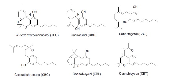 The chemical structures of different classes of phytocannabinoids.