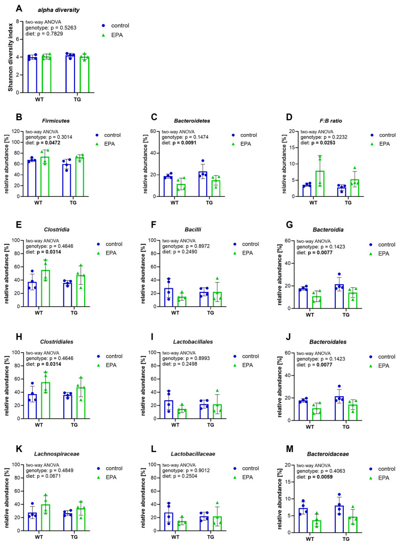 Microbiome composition. Feces were analyzed for microbiome composition; operational taxonomic units (OTUs) that were identified in all samples and exhibited an average abundance of at least 5% were included in the statistical analysis. The graphs show (A) the alpha diversity of the samples, indicated by the Shannon index; (B,C) the microbiota on the hierarchical taxonomic level of phylum; (D) the ratio of Firmicutes to Bacteroidetes bacteria; (E–G) the microbiota on the hierarchical taxonomic level of class; (H–J) the microbiota on the hierarchical taxonomic level of order; and (K–M) the microbiota on the hierarchical taxonomic level of family. (A–M) A two-way ANOVA for the main diet and genotype effects was performed, followed by Šídák’s multiple comparison test. A 95% confidence interval was used, and p-values less than 0.05 were considered significant. The graphs are presented as the mean ± standard deviation, with all data points shown.