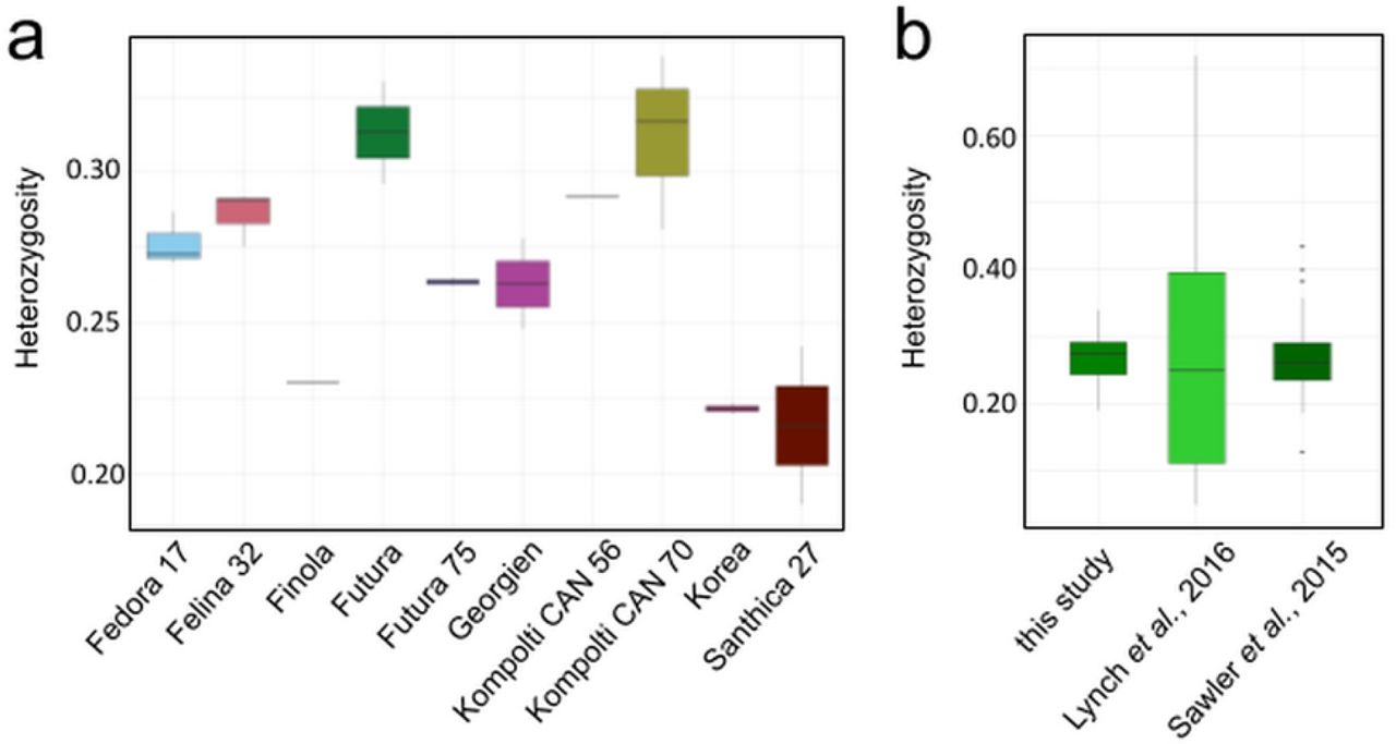 Hemp genomes have a high degree of heterozygosity.Variability in heterozygosity of ten hemp cultivars was calculated as a ratio of heterozygous to homozygous alternative alleles for ten hemp cultivars (a) and other publicly available hemp data (21,22) (b). Each VCF file from Sawler et al. (2015) (21) data and Lynch et al. (2016) (22) data was intersected with a VCF file generated with FreeBayes (79,80) from our collection merged in the output to a single file using VCF-VCFintersect (83) to use limit analysis to sites present in GBS data. The resulting VCF files contained only sites identical to those found in our data.