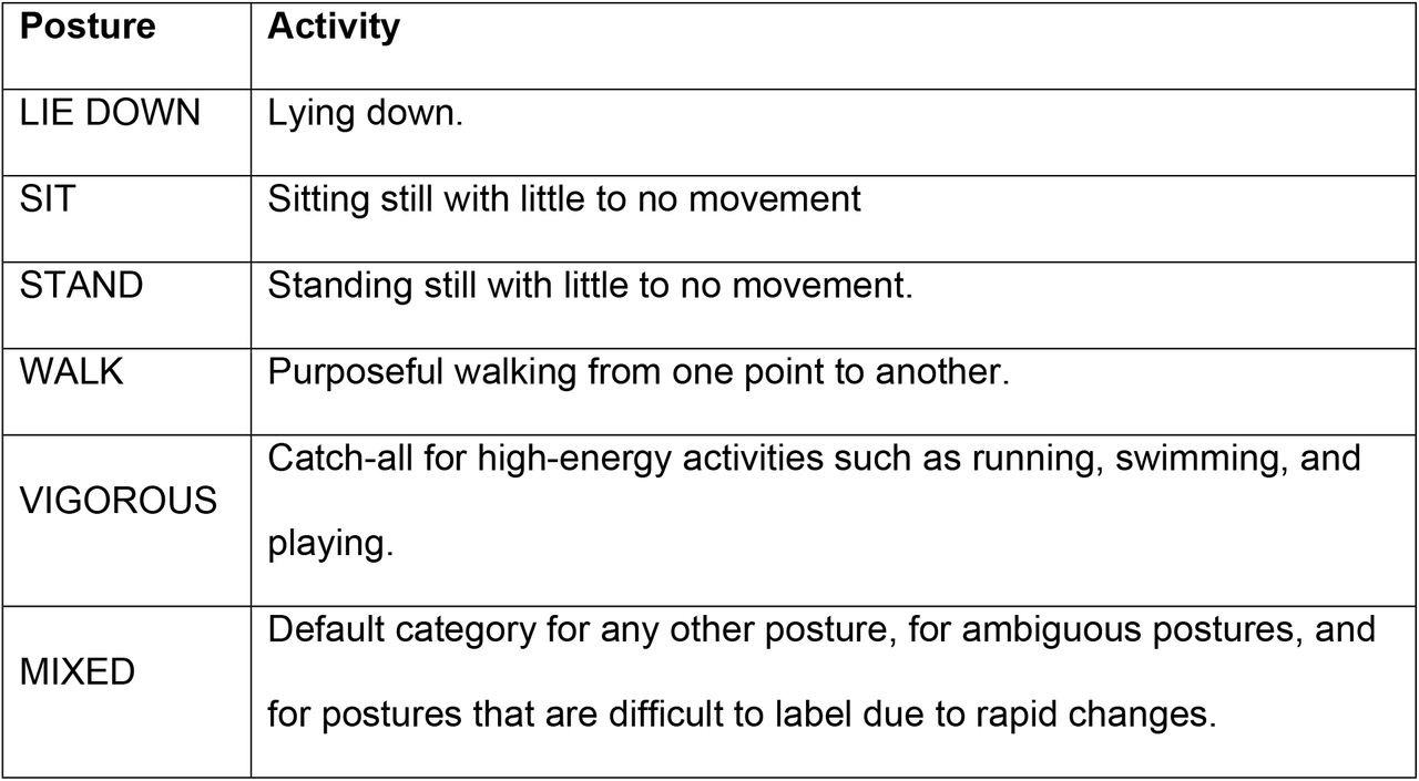 Postures ethogram.