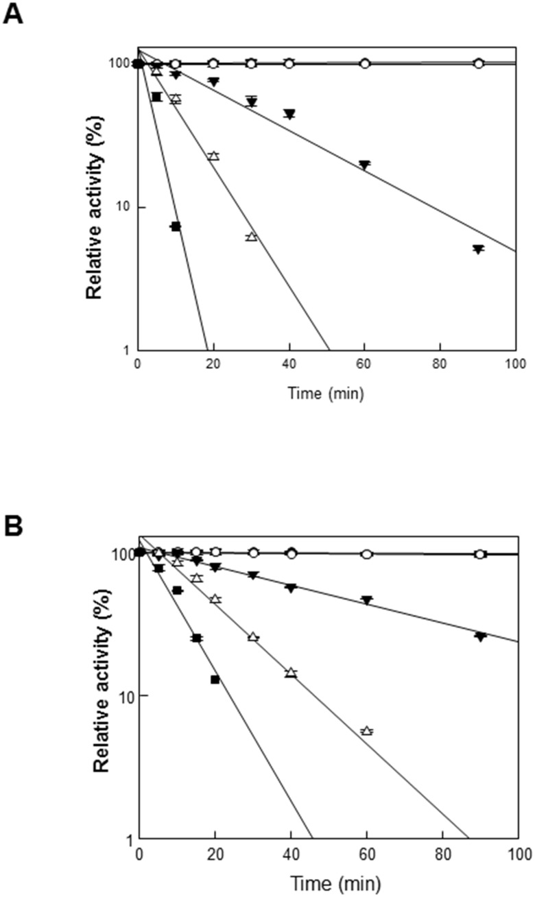 Thermal inactivation.GusA (A) and the GusA-CBD (B) at 40°C (closed circles), 45°C (open circles), 50°C (closed triangles), 55°C (open triangles), and 60°C (closed squares). Data represent the means of three experiments and error bars represent standard deviation. The relative activities of 100% gusA and gusA-CBD were 102 ± 4.3 and 19 ± 0.6 U mg-1, respectively.