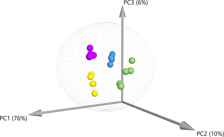 Principal Component Analysis (PCA) for compounds detected by GC–MS demonstrating the overall variation in chemical profiles generated from each extraction. The majority of variation (76%) was observed in the first principal component (PC1). Green = ethanol extract; Blue = isopropanol extract; Purple and Yellow = super critical CO2 fractions S1 and S2, respectively. Ellipse indicates 95% confidence using Hotelling’s T2.