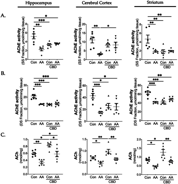Protective effect of cannabidiol on cholinergic markers against acrylamide‐induced toxicity in the hippocampus, cerebral cortex and striatum. (A) Acetylcholinesterase activity in SS fraction (SS‐AChE), (B) Acetylcholinesterase activity in DS fraction (DS‐AChE) and (C) Levels of Acetylcholine (ACh). Each scatter plot represents the data points for AA, CBD, co‐administration, and Con groups (n = 6/group). AA, Acrylamide; CBD, Cannabidiol. All data are expressed as group mean ± SEM (*p < 0.05. **p < 0.01. *** < 0.001).