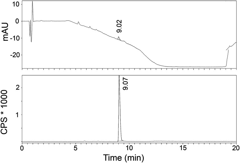 A typical analytical HPLC profile of [11C]AAT-015 [UV-trace (top) and radio-trace (bottom)].