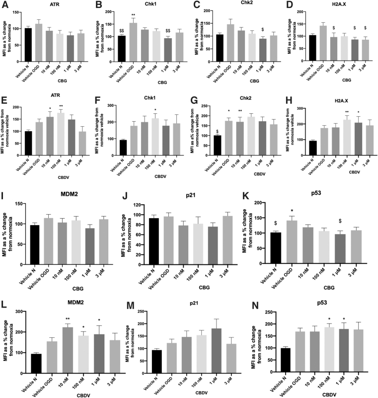 The effects of CBG and CBDV on DNA damage markers (ATR [A,E], Chk1 [B,F], Chk2 [C,G], H2A.X [D,H], MDM2 [I,L], p21 [J,M], and p53 [K,N] from astrocyte cell lysates, 24 h after 8-h OGD. Data were normalized to total protein and are given as MFI as a % change from the normoxia vehicle (vehicle N); means with error bars represent SEM. n=6–8 from 3 experimental repeats. *, Significant difference compared with vehicle normoxia (vehicle N) (*p<0.05, **p<0.01). $p<0.05, $$p<0.01 significant difference to vehicle OGD, one-way ANOVA with Dunnett's post hoc analysis. MFI, mean fluorescent intensity.