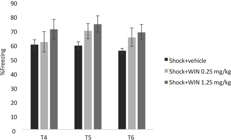 Stability of the cannabinoid agonist WIN effects on contextual fear memory extinction in shock groups There were no significant deference between shock +WIN treated groups and shock+vehicle group in all tests. Data were presented as Mean±SEM.