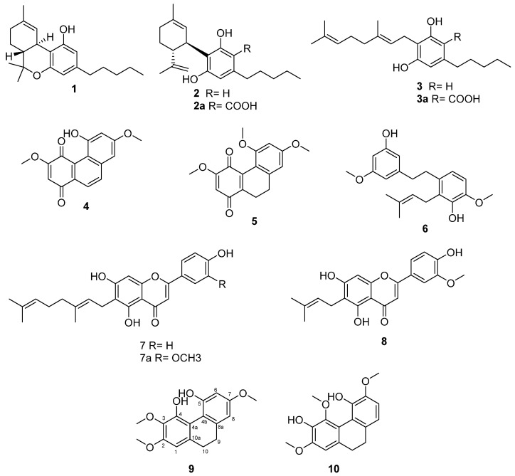 Compounds isolated from Cannabis sativa L. Ermo chemotype V.