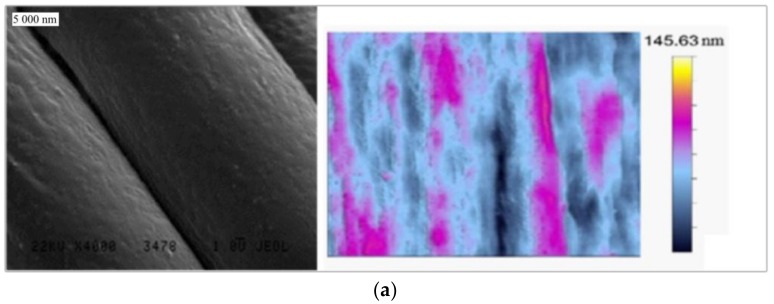 SEM and AFM images of: (a) PA; (b) PET; and (c) PP.