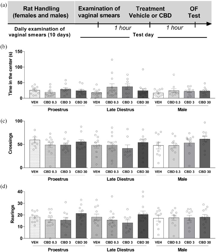 CBD did not affect the behavior of male and female rats in the open-field test. Each animal was injected 1 h before the test either with vehicle or CBD 0.3, 3, or 30 mg/kg. (a) Timeline of the protocol for the experiments, (b) time spent in the center of the open field, (c) the total number of crossings, and (d) the total number of rearings in the (OF). The data are expressed as the mean ± SEM. There was not a statistically significant difference in the behavioral responses investigated in the open field (p > 0.05) among the mean values for the different treatment groups in females and males. N = 8–12/group. CBD: cannabidiol; OF: open field.