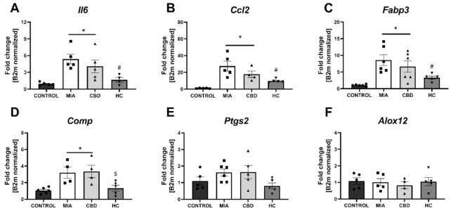 Molecular changes in inflammatory factor expression in rat cartilage and subchondral bone. Gene expression of Il6 (A), Ccl2 (B), Fabp3 (C), Comp (D), Ptgs2 (E) and Alox12 (F) was evaluated in cartilage and subchondral bone tissue at Day 28 post MIA and 5 h after drug administration. CBD was administered at a dose of 50 mg/kg at both Days 21 and 28 post MIA injection, either alone (CBD) or in combination with AP-18 (0.2 mg/kg) at Day 21 and HC-067047 (10 mg/kg) at Day 28 post MIA (HC). ANOVA revealed significant changes in expression of Il6, Ccl2, Fabp3, Comp with p < 0.005. Individual data points are shown in boxes presenting the mean ± SEM of fold change normalized to the reference gene beta-2 microglobulin (B2m). ● denotes samples in control group; ■ denotes samples in MIA group; ▲ denotes samples in MIA + CBD group; ▼ denotes samples in MIA + CBD + AP-18 followed by HC-067047 group. Statistical analysis was performed using one-way ANOVA followed by Tukey’s post hoc test with a p < 0.05 confidence interval. Each experimental group includes N = 4–6 rats. * Denotes significant differences vs. control; # Denotes significant differences vs. MIA; $ Denotes significant differences vs. CBD.