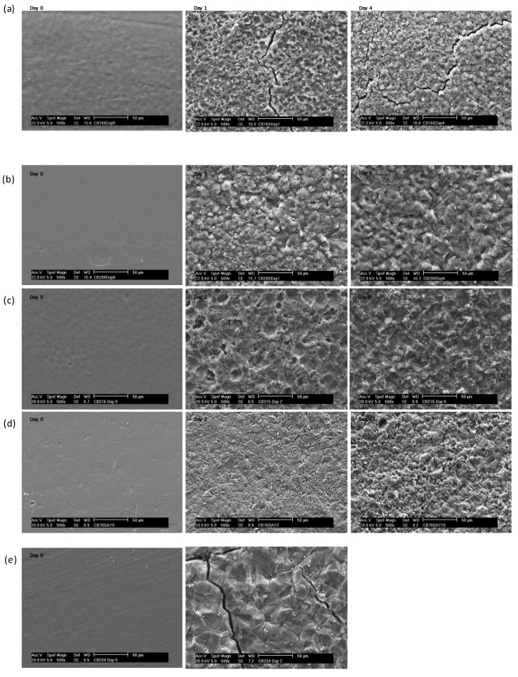 SEM micrographs of polymer films before and after enzymatic degradation using lipase on selected days (a) 1 at day 0, 1, and 4, (b) 2 at day 0, 1, and 6, (c) 3 at day 0, 2, and 6, (d) 4 at day 0, 2, and 15, and (e) 6 at day 0 and 2.