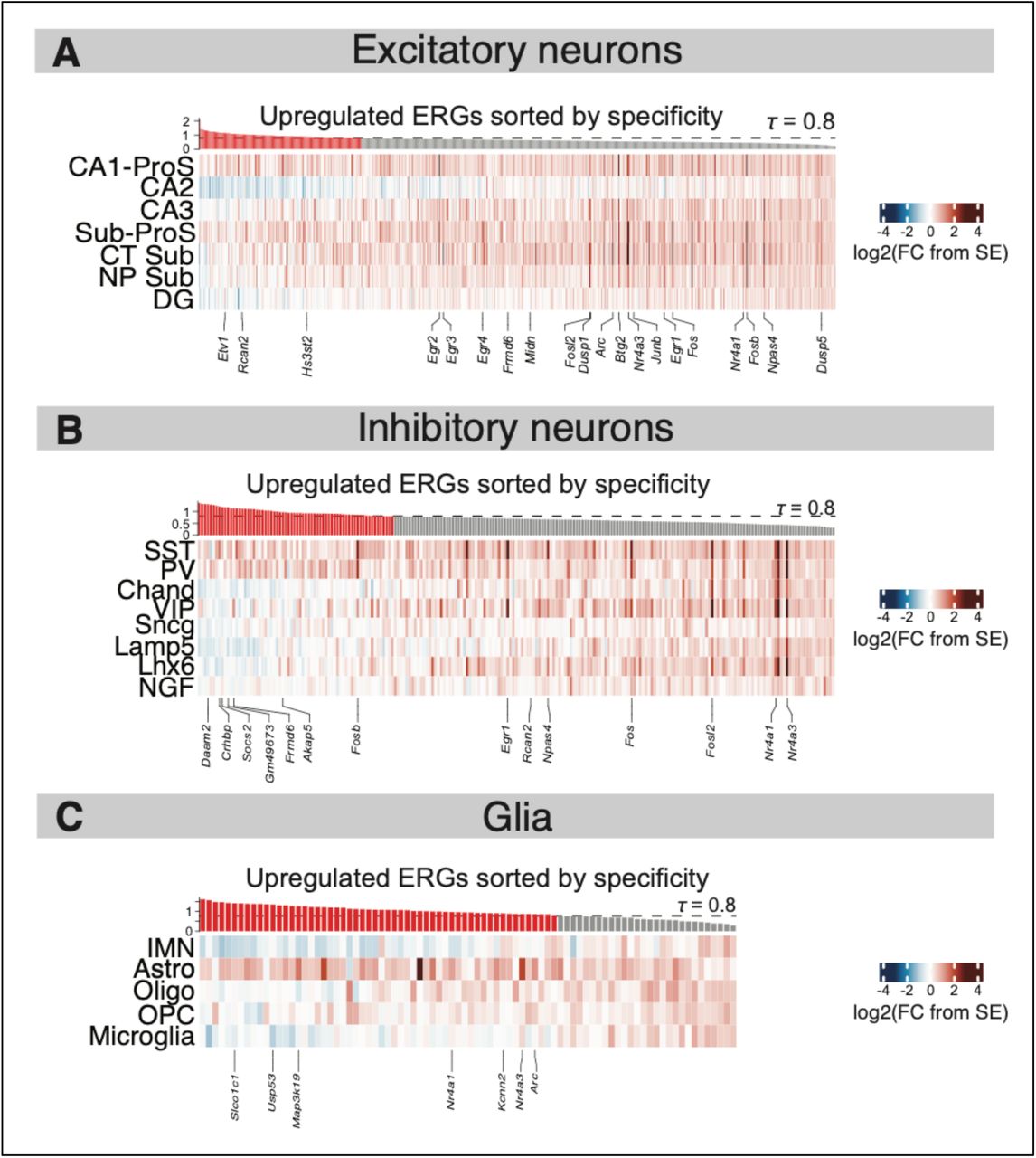 Tau heatmaps for upregulated ERGs ascertained using limma-voom.(A) As in Figure 3C, but instead using limma-voom instead of DESeq2 to detect DEGs. Log2(FC) values represent difference in mean log2-CPM in EE30m vs SE.(B-C) As in A, but for inhibitory neurons and glia.