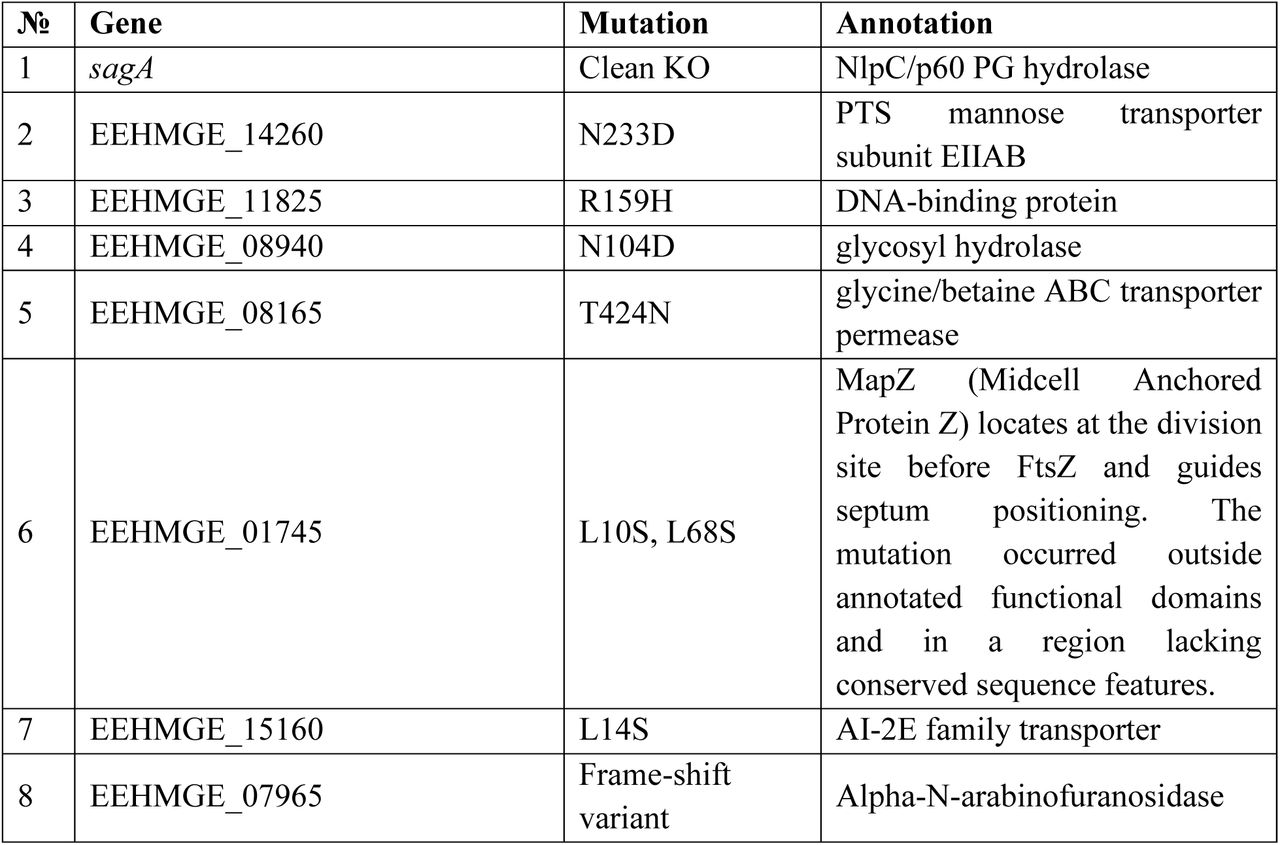 Missense and frame-shift mutations detected by whole-genome sequencing (WGS) in ERV165-ΔsagA