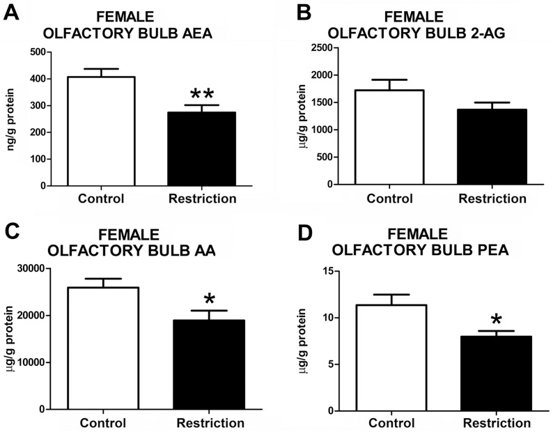Endocannabinoid and endocannabinoid-related lipid levels in the olfactory bulb of female offspring at birth.Anandamide (AEA), 2-arachidonoylglycerol (2-AG), arachidonic acid (AA) and palmitoylethanolamide (PEA) levels in the olfactory bulb of female offspring (A-D) from control dams (n = 9) and calorie-restricted dams (n = 10) at birth (open bars and solid bars, respectively).Values are expressed as mean +/- SEM. Data were analyzed by Student´s t-test: *p<0.05, **p<0.01.