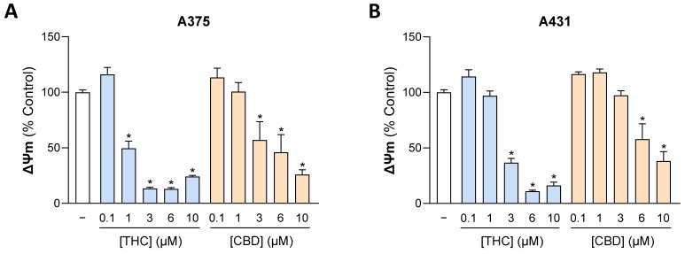 Effect of THC and CBD on mitochondrial membrane potential (ΔΨm) of A375 (A) and A431 cells (B). The cells were incubated with THC or CBD at the indicated concentrations for 24 h. ΔΨm was assessed using the JC-10 fluorescence ratio (orange to green) as described in Section 2 and expressed relative to the vehicle control (set to 100%). Data are mean values ± SEM of n = 9 from 3 independent experiments. All percentage values shown refer to the respective vehicle control, which was set to 100%. * p ≤ 0.05 vs. corresponding vehicle control; one-way ANOVA with Dunnett’s post hoc test.