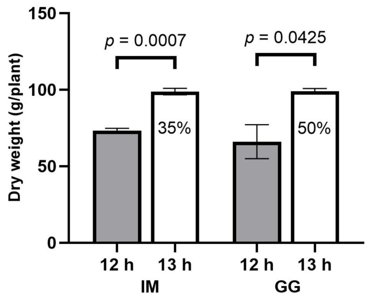 Total inflorescence dry weight responses (g/plant) to 12 h (filled bars) and 13 h (empty bars) photoperiod treatments of C. sativa cultivars ‘Incredible Milk’ (IM) and ‘Gorilla Glue’ (GG). Total inflorescence dry weight was calculated by adding nonapical inflorescence dry weight (oven-dried) and apical inflorescence dry weight for each plant. Data are means ± SE, n = 3. Error bars are presented for all data but may be obscured for small SE values. Percentage values marked in the 13 h bars signify the increase in total inflorescence dry weight relative to the 12 h treatment, and the p-values above each cultivar represent the significance level of the comparison of means according to Student’s t-test.