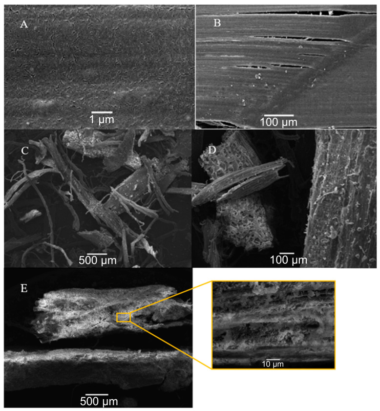 SEM of fibers (synthetic, (A): 100 μm scale, (B): 250 μm scale; hemp, (C): 100 μm scale, (D): 500 μm scale, (E): 500 μm and 10 μm scale).