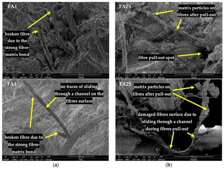 SEM images of fracture surfaces of fibre-reinforced AA mortars after accelerated carbonation for: (a) fly-ash-based AA mortar (FA1); (b) fly-ash-and-GBFS-based AA mortar (FA2S).