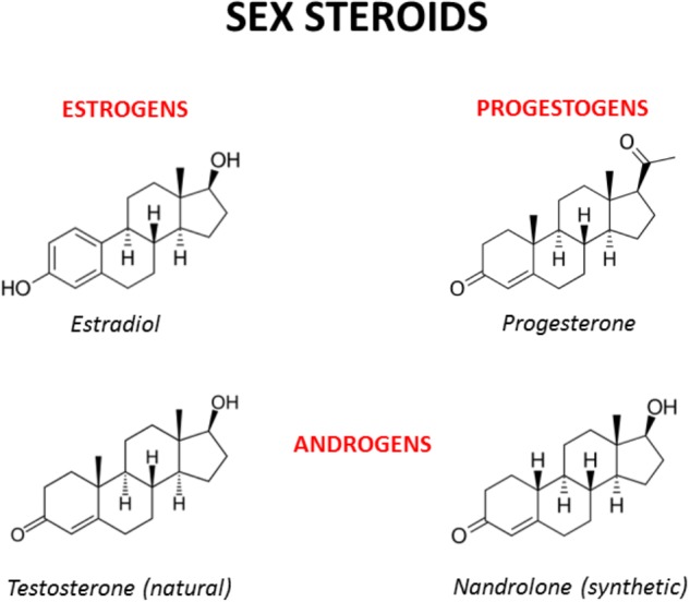 Chemical structures of the main male and female sex hormones and the anabolic-androgenic steroid nandrolone. The strict chemical homology with a common core cyclic structure among natural and synthetic steroids accounts for the relatively high cross-reactivity displayed by sex steroids and AAS at receptor level. The only difference between testosterone and nandrolone (19-nortestosterone) is the methyl group (CH3) of nandrolone in position C19 instead of the hydrogen (H) of testosterone, which increases the anabolic activity of nandrolone and is at the basis of its use as a doping drug (see Busardò et al., 2015 and references enclosed).