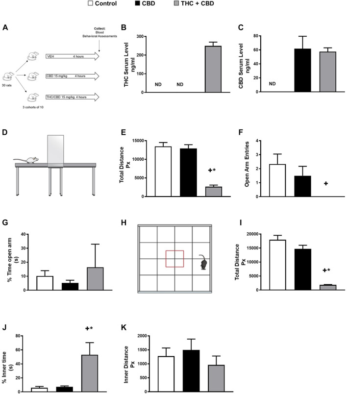 Full-spectrum cannabis extract induces behavioral changes in rats. (A) Scheme of study design for identifying novel metabolite biomarkers of behavioral changes in response to cannabis extracts. (B) THC serum concentration and (C) CBD serum concentration that was determined in vehicle-treated, broad-spectrum cannabis extract–treated, and full-spectrum cannabis extract–treated rats. (D) Image showing a rat in the elevated plus maze apparatus. (E) Total distance travelled, (F) open arm entries, and (G) % time open arm in vehicle-treated, broad-spectrum cannabis extract–treated and full-spectrum cannabis extract–treated rats (n = 6). (H) Image showing a rat in the open field apparatus, (I) total distance travelled, (J) % inner time, and (K) inner distance in vehicle-treated, broad-spectrum cannabis extract–treated, and full-spectrum cannabis extract–treated rats (n = 6). Results are shown as means ± SEM. Comparisons between three groups were made by one-way ANOVA with a Tukey–Kramer post hoc multiple comparison test or Kruskal–Wallis test. +p< 0.05 vs. vehicle control group. *p < 0.05 vs. broad-spectrum cannabis extract group. THC, tetrahydrocannabinol; CBD, cannabidiol.