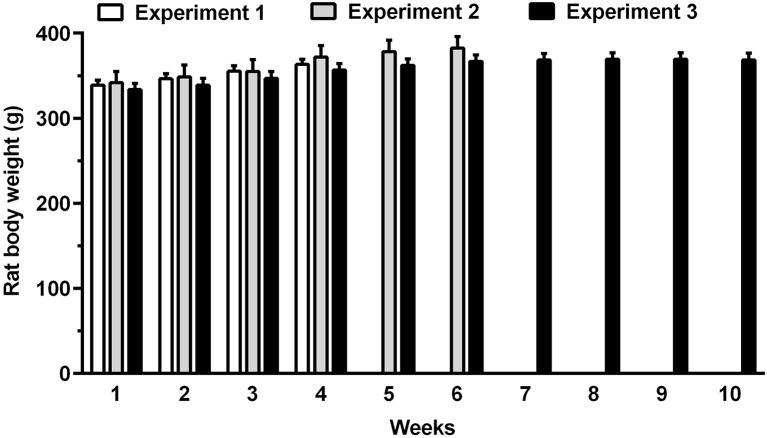 Body weight of rats allocated to Experiments 1–3 over the entire course of the study. Rat body weight was recorded weekly. Each bar is the mean ± SEM of n = 60 (Experiment 1), n = 12 (Experiment 2), and n = 24 (Experiment 3) rats.