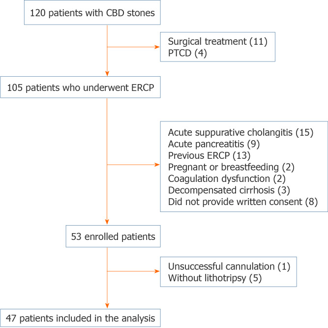 Flow chart of the self-controlled study. CBD: Common bile duct; ERCP: Endoscopic retrograde cholangiopancreatography; PTCD: Percutaneous transhepatic cholangiodrainage.