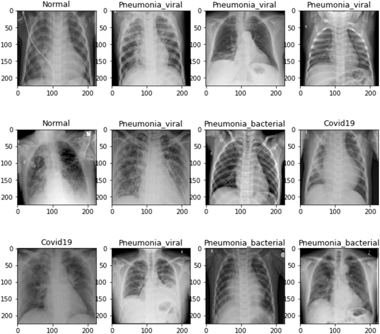 Sample of the images extracted from the dataset.