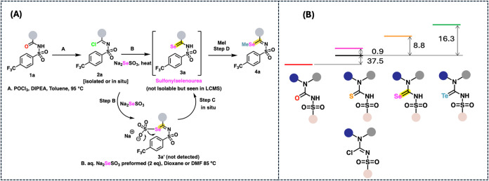 (A) Mechanistic outline of the reaction process. (B) Calculated bond dissociation enthalpies of O, S, Se, and Te (in kcal/mol); see SI.