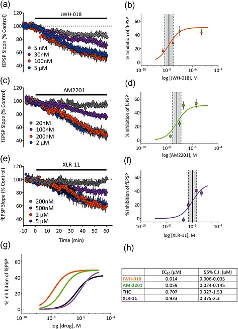 Concentration–response curves at hippocampal CA1 synapses for the Spice constituents JWH‐018, AM2201 and XLR‐11. Left panels (a,c,e) show the time course of each compound at several concentrations; right panels (b,d,f) show concentration–response curves (n = 3–8 slices per concentration). The EC50 (solid lines) and 95% confidence intervals (dashed lines) are indicated for each compound. (g) shows the curves replotted on the same graph to highlight the potency differences. Note that JWH‐018 (orange trace) is the most potent compound in the series relative to Δ9‐tetrahydrocannabinol (THC) (black trace) and that XLR‐11 is similar in potency to Δ9‐THC. The table in (h) summarizes the mean calculated EC50 values and 95% confidence intervals for each of the tested compounds. [Colour figure can be viewed at http://wileyonlinelibrary.com]