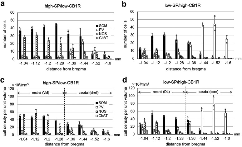 Distributions of four types of neurons along the rostrocaudal axis of the EPN. The abscissa shows the position relative to bregma (in mm). a–d, The ordinate shows the number of cells in a single section (a, b) and the cell density per unit volume (μm3; c, d). The vertical dashed line drawn between −1.28 and −1.36 mm from bregma indicates the position along the rostrocaudal axis, where SP/CB1R labeling changes from DL/VM pattern to core/shell pattern. Data at each position were collected from three animals.