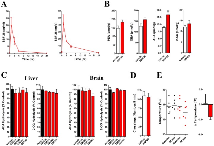 SBFI26 pharmacokinetics and its effect upon brain endocannabinoid levels.(A) Time course of SBFI26 levels in mouse plasma (left panel) and brain (right panel) following a single injection (20 mg/kg, i.p.) (n = 5). (B) SBFI26 (20 mg/kg, i.p.) elevates brain levels of the AEA. Tissues were harvested 90 min after SBFI26 administration. **, p<0.01 (n = 6). (C) Effect of FABP inhibitors (20 mg/kg, i.p.) upon AEA and 2-OG hydrolysis by mouse brain and liver homogenates following a single injection (n = 3). (D) SBFI26 (20 mg/kg, i.p.) does not alter locomotor activity in mice. Locomotor activity was measured 90 min after SBFI26 administration (n = 6). (E) SBFI26 (20 mg/kg, i.p.) does not reduce rectal temperature in mice. Left graph: scatterplot of rectal temperatures at baseline and 90 min following injection of vehicle (black circles) or SBFI26 (red circles). Right graph: change in rectal temperature between baseline and 90 min following administration of vehicle (white bar) or SBFI26 (red bar). Statistical analysis was performed by paired t-test (p = 0.205) (n = 6).