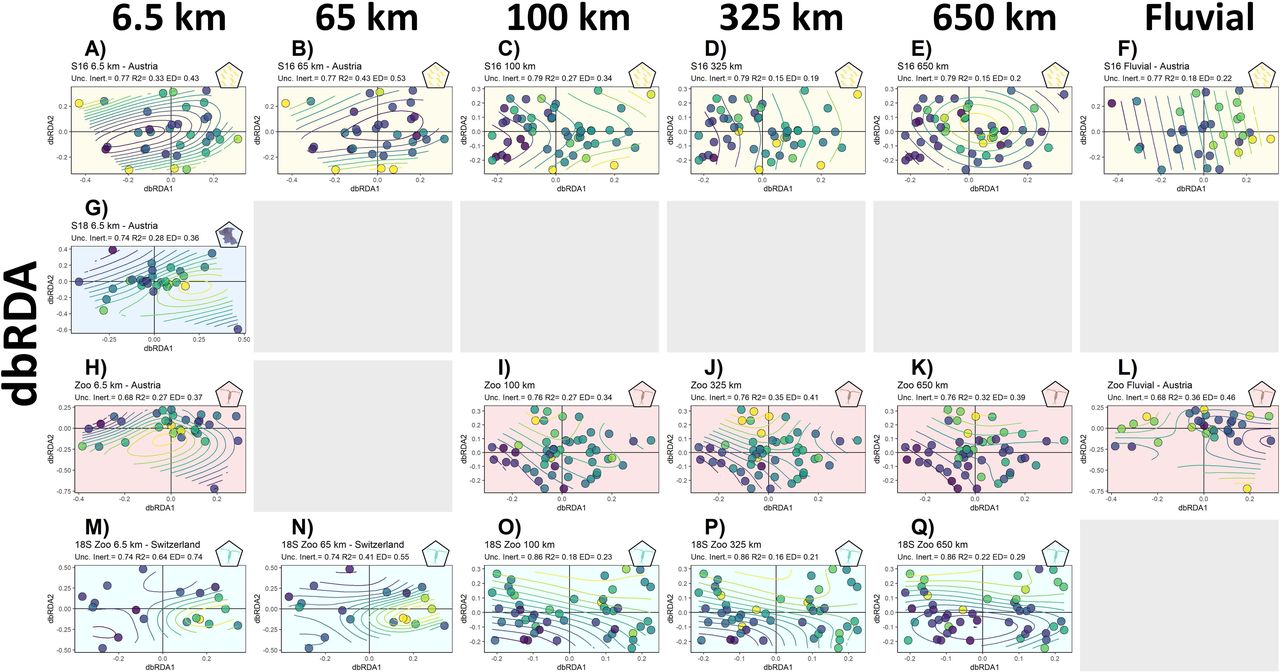 Significant multivariate analysis based on the generalised additive models (dbRDA with smooth surfaces). Plot background and top-right symbol indicate the corresponding taxonomic group: bacterioplankton (yellow), zooplankton (red), and 18S zooplankton (cyan). Contour lines and circle colours represent centrality gradient, purple colours correspond to more central lakes and yellow colours more isolated lakes. See all model results in Supplementary S8.