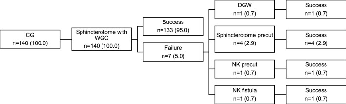 Data are presented as number (n) of patients and percentages (%). CG control group, WGC wire-guided cannulation, DGW double guidewire, NK needle knife