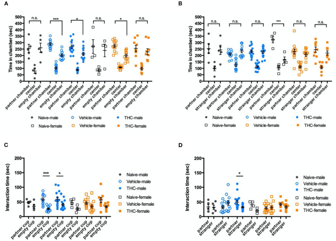 Social ability. Δ9-THC treatment did not affect social interactions. Even though male or female naïve, vehicle, and THC treated mice showed different bias in in the chamber paired with an empty wire cup or familiar mouse (A) or paired with a familiar mouse or a stranger mouse (B). Similarly, regardless of sex, three groups of treatment caused no difference in the time intending to the chamber (C) or the partner vs. stranger cup (D). Data in (A,B) were analyzed by two-way ANOVA with Sidak's test, and data in (C,D) by repeated-measures two-way ANOVA with Tukey's test. Data are presented as (mean ± SEM). *P < 0.05; ***P < 0.001 compared between partner and empty chamber or P compared between familiar and stranger chamber (N = 4–14 per group).