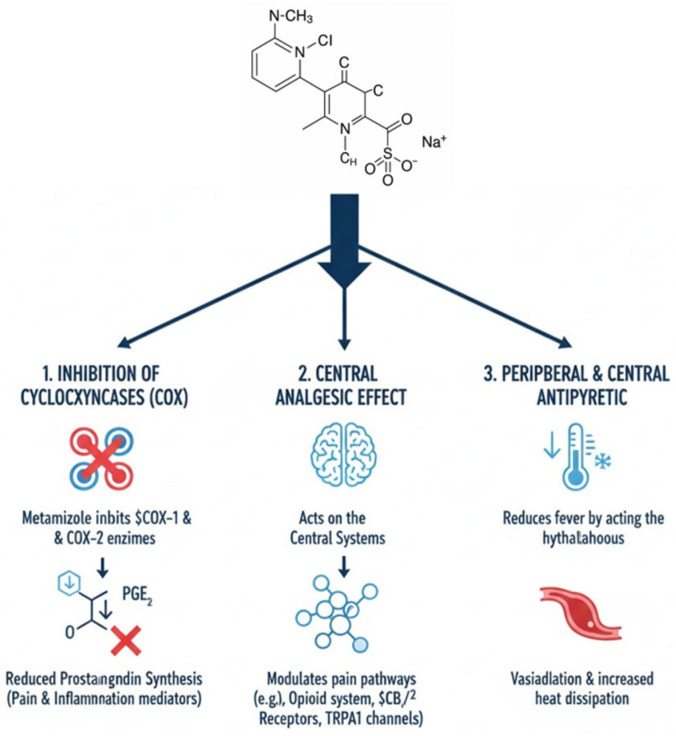 Mechanisms of metamizol (generated with assistance from Gemini Pro).