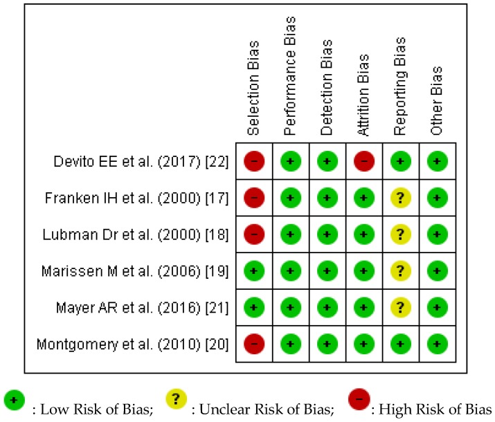 Risk of Bias assessment for each of the included studies.