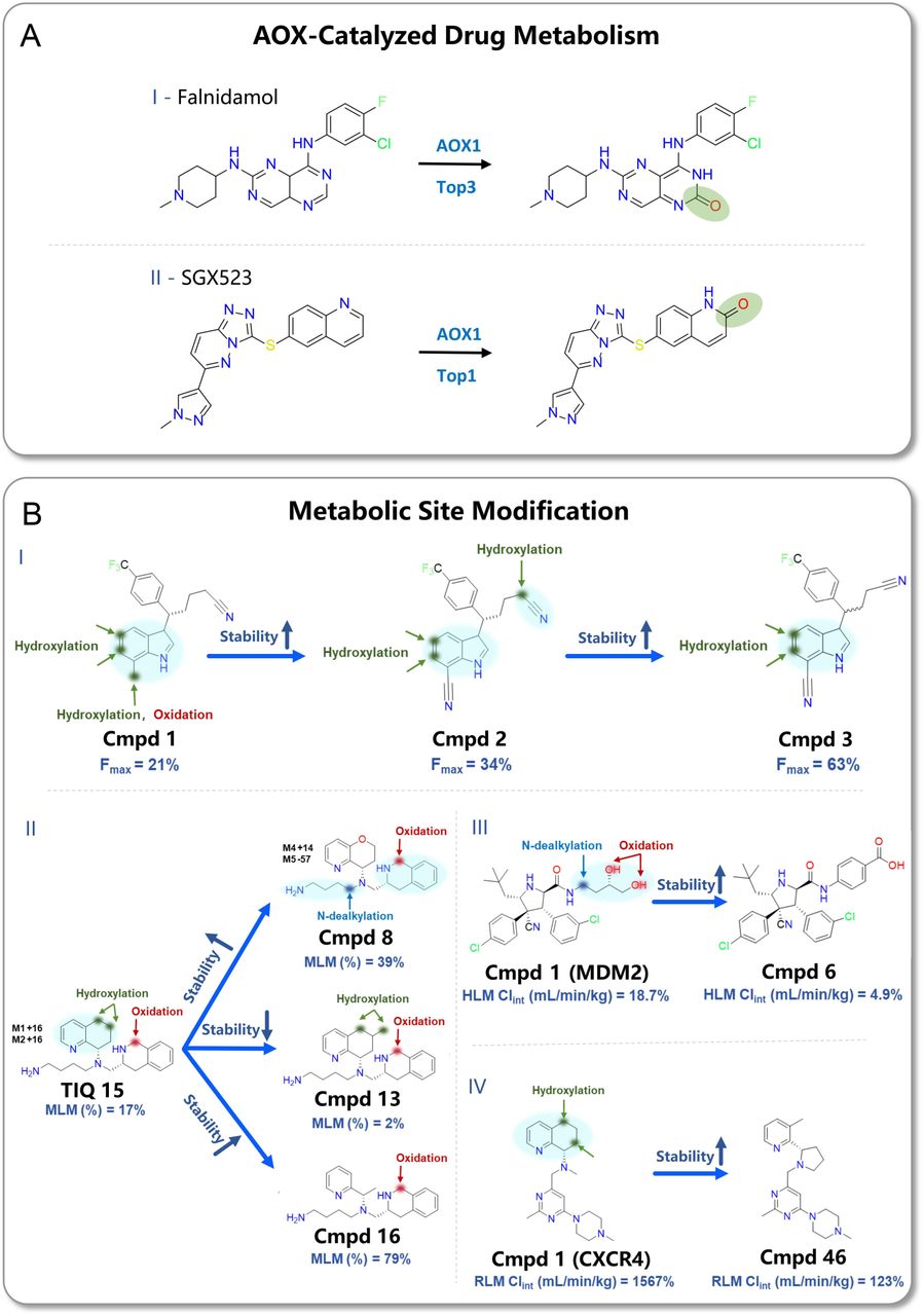 Prediction of AOX-catalyzed drug metabolism and metabolic site modification cases.(A) Falnidamol and SGX523, showing correct AOX1 ranking and metabolite prediction. (B) Representative site-directed modifications for CXCR4 antagonist TIQ-15 (I) and ZAK inhibitor ZAK-14 (II). MLM (%) refers to the percentage of compound remaining after 10 minutes of incubation with mouse liver microsomes. HLM Clint (mL/min/kg) represent the intrinsic clearance by human liver microsomes. The light-blue shaded fragment denotes the experimentally identified metabolic site region, within which metabolism is known to occur but without atom-level resolution. The arrow and highlighted atom(s) mark the specific metabolic site predicted by MetaReact.