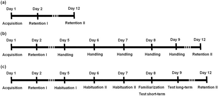 Schedules of the different behavioral batteries administered to the rats to evaluate the effect of handling and non‐aversive memory test NORT on fear extinction. (a) Schedule performed by the control PA‐PA group. (b) Schedule performed by PA‐Handling‐PA group. (c) Schedule performed by PA‐NORT‐PA group