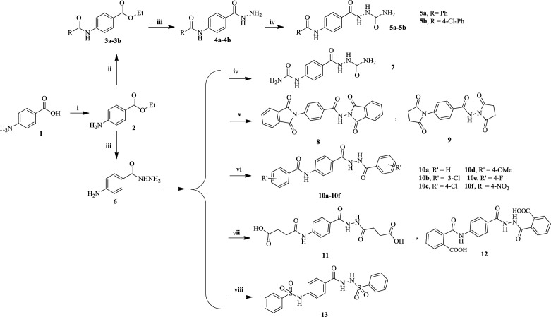 Synthesis of the designed compounds. Reagents and conditions: (i) EtOH, H2SO4, reflux, 12 h. (ii) Benzoyl halide, DIPEA, DCM, 12h. (iii) N2H4, 110 °C, 90 min, closed vessel. (iv) Portionwise addition of KCNO, MeOH, H+, r.t., 24 h. (v) Phthalic anhydride or succinic anhydride, pyridine, reflux, 72 h or dry melting at 150 °C, 2 h. (vi) Substituted benzoyl chloride or suitable anhydride, pyridine or EtOAC, r.t., 24 h. (vii) Succinic or phthalic anhydride, EtOAC, 50 °C, 30 min, then r.t., 24 h. (viii) Benzenesulfonyl chloride, pyridine, r.t., 24 h