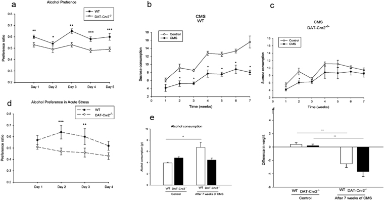 CB2Rs in DA neurons modifies alcohol preference. (a–f). The 5-day sub-acute stress modifies alcohol preference ratio (a,d) with the DAT-Cnr2 cKO consuming less alcohol (P < 0.05) than the wild type mice, with or without acute stressor. In the chronic mild stress model (b,c), there was significant reduction (P < 0.05) in the consumption of 2% sucrose by the wild type mice in comparison to the DAT-Cnr2 cKO mice. At the end of the seven week CMS period, there was increased alcohol consumption (e) by the wild type mice in comparison to non-stressed wild type and stressed and non-stressed DAT-Cnr2 cKO mice. There were significant weight changes (f) (P < 0.01) following CMS in both the wild type and DAT-Cnr2 cKO mice compared to non-stressed wild type and DAT-Cnr2 cKO mice. Data for the CMS studies are presented as mean ± SEM with 6 mice per group and *P < 0.05, **P < 0.01 for DAT-Cnr2 cKO and wild type mice.