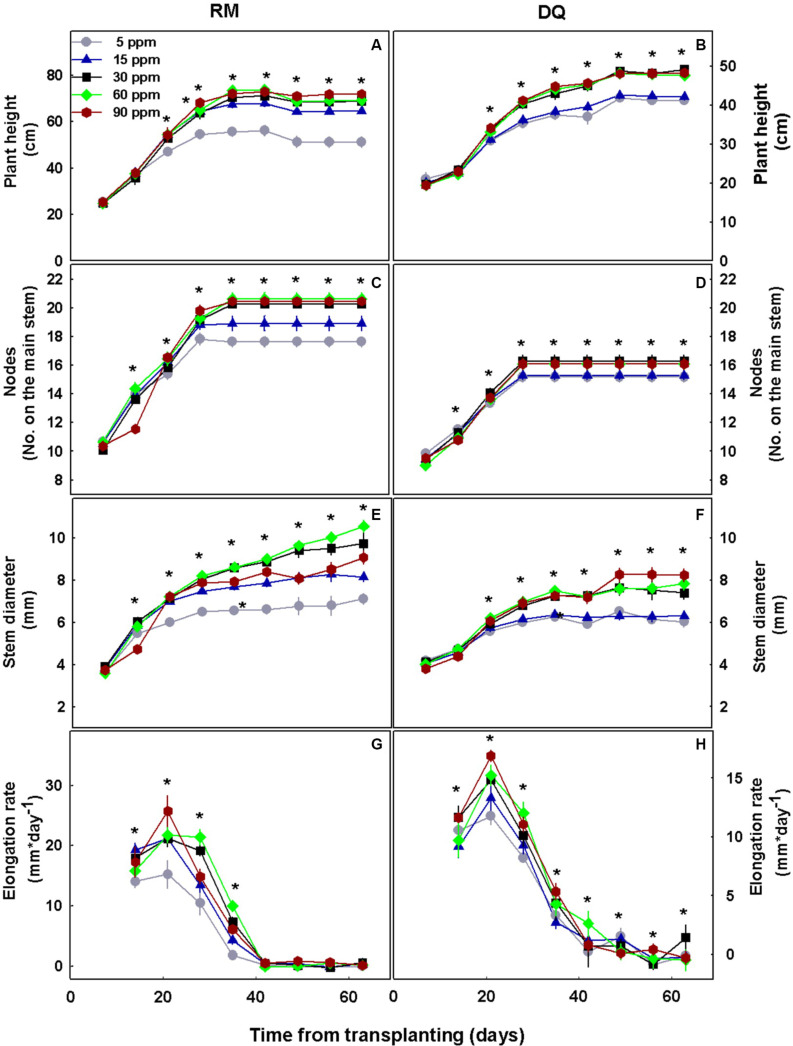 Effect of P concentration on development of two medical cannabis cultivars, RM and DQ, at the flowering phase. Plant height (A,B), number of nodes on the main stem (C,D), stem diameter (E,F), and elongation rate (G,H). The first measurement represents the time of initiation of the P treatments, and the short photoperiod. Presented data are averages ± SD (n = 6). An asterisk above the averages represents a significant difference between treatments for a given day by Tukey’s HSD test at α = 0.05.