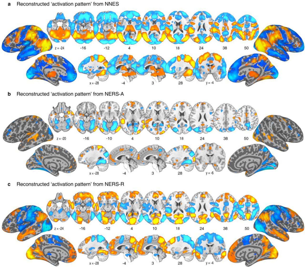 Reconstructed ‘activation pattern’.FDR corrected (q<0.05) group-level reconstructed ‘activation pattern’ transformed from NNES (a), NERS-A (b), and NERS-R (c). The color indicates the direction of the relationship between the variable and the model without controlling for other variables – i.e., which voxels are positively (red) or negatively (blue) related to ER strategies. The hot color indicates positive associations, whereas the cold color indicates negative associations.