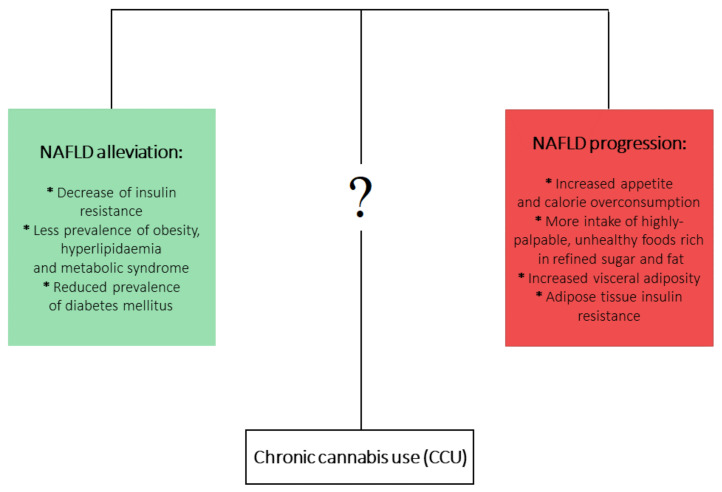 The opposite metabolic effects of chronic Cannabis use (CCU).