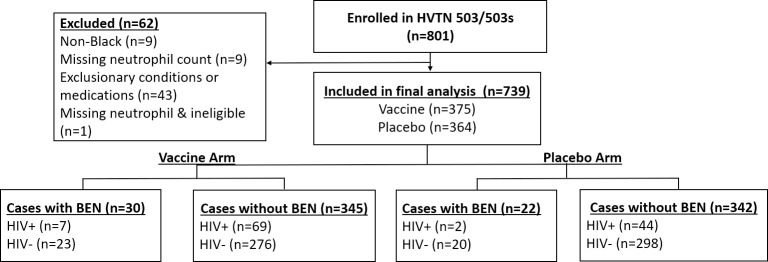 Participant disposition diagram.