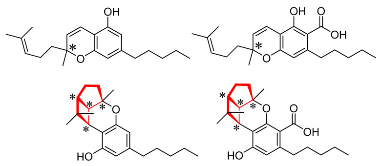 Cannabichromene (top left), cannabichromenic acid (top right), cannabicyclol (bottom left), cannabicyclolic acid (bottom right). The starred (*) carbons indicate chiral centers. The red bonds highlight the fused-ring system which results in the chirality of CBL and CBLA.