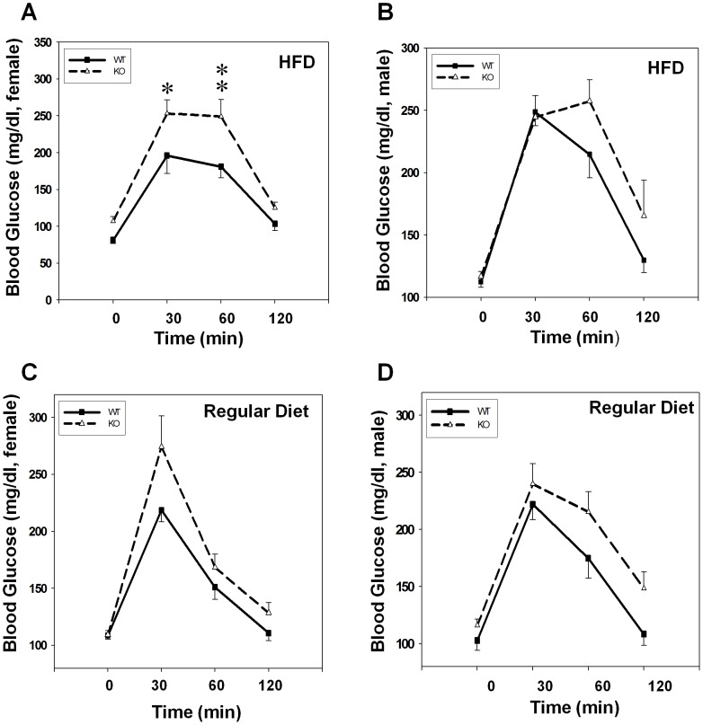 GPR26-deficicent mice exhibit glucose intolerance.Oral glucose tolerance tests were carried out in GPR26−/− mice (KO) and the wild type controls (WT) after 12 weeks of high-fat diet (HFD) or regular chow. Mice were orally gavaged with 2.0g of glucose per kg of body weight. Mouse tail blood samples were collected at indicated time points and analyzed for blood glucose levels by the ACCU-CHEK Blood Glucose Meter. (A–B): blood glucose levels of female (A) and male (B) mice on high-fat diet; (B–D): blood glucose levels of female (C) and male (D) mice on regular diet. N = 8, *p<0.05, **p<0.01 when compared with wild type controls.