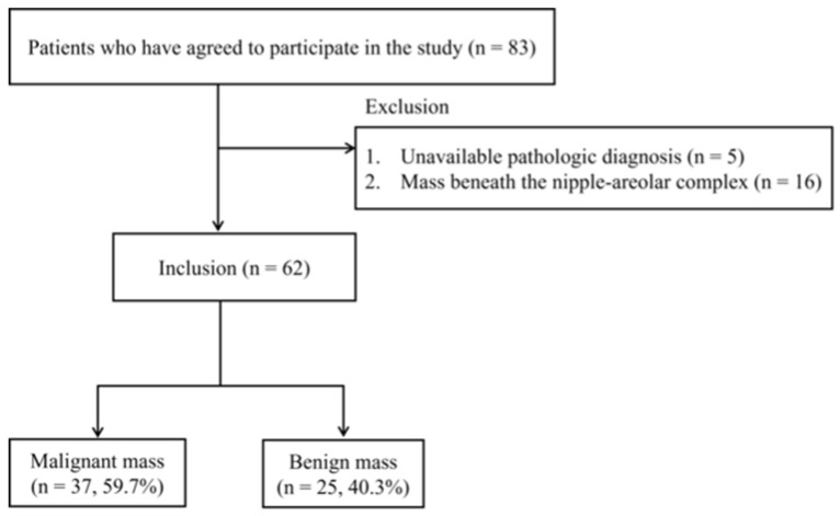 Flowchart of patient selection.