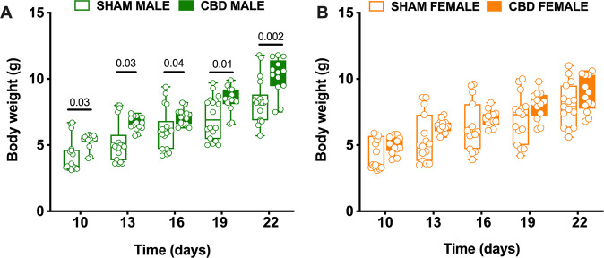 Prenatal exposure to CBD specifically increases the body weight of male offspring.A, B Starting at PND 10, SHAM and CBD pups of both sexes were weighed every 3 days until one day after weaning (i.e., [22]). Fetal CBD exposure was associated to increase of bodyweight in male (A) but not female progeny (B), (SHAM MALE N = 18 light green, CBD MALE N = 14 dark green, SHAM FEMALE N = 14 light orange, CBD FEMALE N = 12 dark orange). Data are represented as Box and whisker plots (first quartile, median, third quartile). Individual data point represents a single animal. Multiple Mann–Whitney U test.